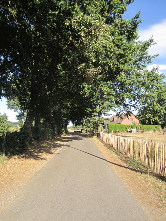 De Hoog Velden 12 Lägenhet NeerNeerpelt Exteriör bild